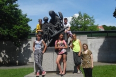 SAM_2418